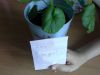 20170507_101800.thumb.jpg.e2b2277b24af774c33612ca177ddf6be.jpg