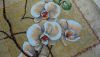 20170507_141124.thumb.jpg.21b2a88aac166ca439efb772ca754ca3.jpg