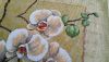 20170507_141924.thumb.jpg.8741abc9cf87593f38d6c86722f18011.jpg