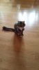 20170509_141604.thumb.jpg.a6a19d339d148f6868e6d49bcb7b5426.jpg