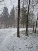 20170510_171410.thumb.jpg.053c21bcc090756c6b1d02e14cd34bef.jpg