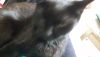 20170512_142229.thumb.jpg.b8e96c5c5882ec3fa7b823ff84dc3fbc.jpg