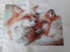20170515_074438.jpg