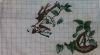 20170516_015045.jpg