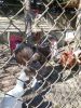 20170521_153639.thumb.jpg.7a832ec00ccd280f60f29502184fb3a3.jpg