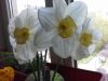 20170522_142610.thumb.jpg.f67f9593dc47bfff91164e2814880ebd.jpg
