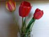 20170522_161125.thumb.jpg.3abd564c708a41e4e7ce14d032ebf173.jpg