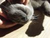 20170522_172205.thumb.jpg.38a48546da6e664f8fd6d280730a183e.jpg