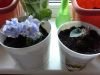20170523_212853.thumb.jpg.b3ddf88c583d460ba807c05ecbb8e927.jpg