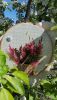 20170524_095628.jpg