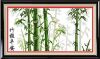 30701-bamboo-dome.thumb.jpg.78d302dc775e1c5c9c3f657b284d2db5.jpg