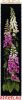 38133.thumb.jpg.878c1144e3cf82e4e3c4a2d4a728eadb.jpg