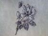 4.thumb.JPG.c793ff0fca89978db68b3d0a7b7aeeb0.JPG