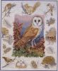 591e7226c73b1_OwlandWoodlandWildlife.thumb.jpeg.481e20008ecdcba47af9ffb8c2c04962.jpeg