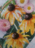5922d69a4f15d_2017-05-2214_44_53.png.eddb073efc0539d23cee978c8f32ab89.thumb.png.4b75edbc1f7e0bf8da71b4f9e2489661.png