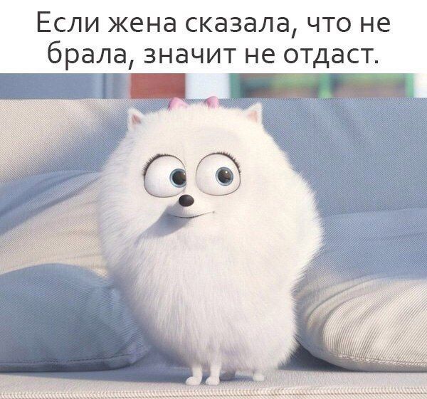 Аватар Aleksacha 
