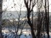 DSC01886_.thumb.jpg.a0bd6a92a8e701a375458d915a548ee4.jpg