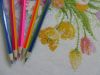 DSC01928_.thumb.jpg.433961b28b75de4351901a74647d79eb.jpg