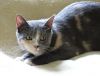 DSC01940_.thumb.jpg.2d3202fdda0db09080c598eaa4c75f18.jpg