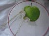 DSC03029.thumb.JPG.a4285b4c83990c1eee7504b3ffe23d11.JPG