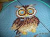 DSC04451.thumb.JPG.dd5a6a708f8c7c228265ebe3dee5d6b4.JPG