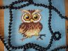 DSC04460.thumb.JPG.4c37aa20efb1e2949b84005de0d518ee.JPG