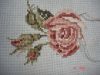DSC05223.thumb.JPG.6751a9b8aa49c2e0b7ad9ed33d7e0a49.JPG