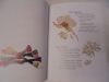 DSC07235.thumb.JPG.aedc37c742af9f495f28b7bad92dbaba.JPG