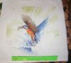 DSC08015.thumb.JPG.a59c13e9dbdc7facab7a8e9a45158bcc.JPG