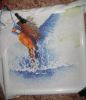 DSC08023.thumb.JPG.2a4f917a352e08e4ecb83816a33dd4f8.JPG