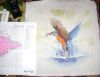 DSC08025.thumb.JPG.0c62c2b37f3c6628dcb40a867d6ce4e7.JPG