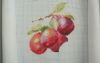 DSC08723.thumb.JPG.fe5bf38d4d9e085ec00b1d5849c50962.JPG