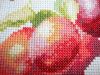 DSC08733.thumb.JPG.62dbd35ce9fa6a8418a66add7b19437c.JPG