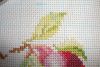 DSC08736.thumb.JPG.f4733ddec16e807c45ebcc22c98a0f02.JPG
