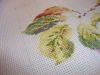 DSC08754.thumb.JPG.3c072f95e491dcaefb4af93eae7a0512.JPG