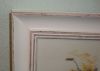 DSC08784.thumb.JPG.f91634cd3581be05b5b5d47d6e75bf8a.JPG