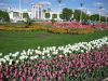 DSC08863.thumb.JPG.5049f3991f5468a7ac76927589870161.JPG
