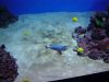DSC08922.thumb.JPG.5a03c9f92485fee2529346e40164aa05.JPG