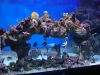DSC08926.thumb.JPG.a5ddf644fb9f7e48bf4b51fce413d733.JPG
