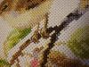 DSC09007.thumb.JPG.ef2b8a228a63f4d26b5ca97458b7f671.JPG