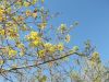 DSCF1325.thumb.JPG.66cf88cee857a757fbb23353b6699de8.JPG