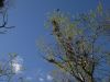 DSCF1327.thumb.JPG.fda209d49a84aca3f3dfcea184517af0.JPG