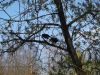DSCF1332.thumb.JPG.b70ec60bd047d08f497e10156246ed66.JPG