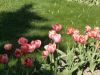 DSCF1342.thumb.JPG.ad7748aa9c9b10c24d496a907cde9b27.JPG