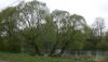DSCF1363.JPG
