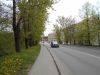 DSCN0725.thumb.JPG.4a655faaa4361784408c7a2b5e9d13c5.JPG