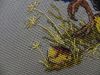 DSCN5442.thumb.JPG.2416e6a24a4a5bfaed2b7f3a09335600.JPG