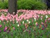 DSCN5553.thumb.JPG.5800a8acecb20b8b62979b550f4008ec.JPG