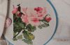 DSCN7222.JPG