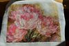 DSC_0376.thumb.JPG.00b3ebae986b13b2d9105504957f7d55.JPG